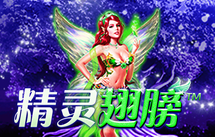 华体官网app下载入口官网